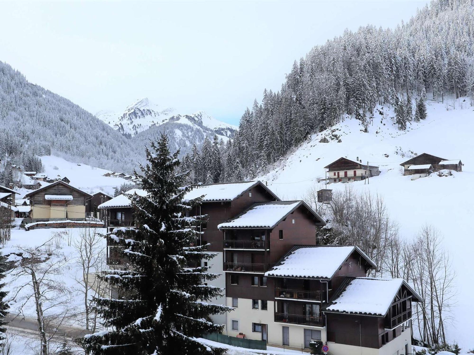 Appartement Cosy Pour 4, Au Coeur Du Village, Proche Des Pistes Et Avec Piscine Estivale - Fr-1-342-173 Arêches Exterior foto